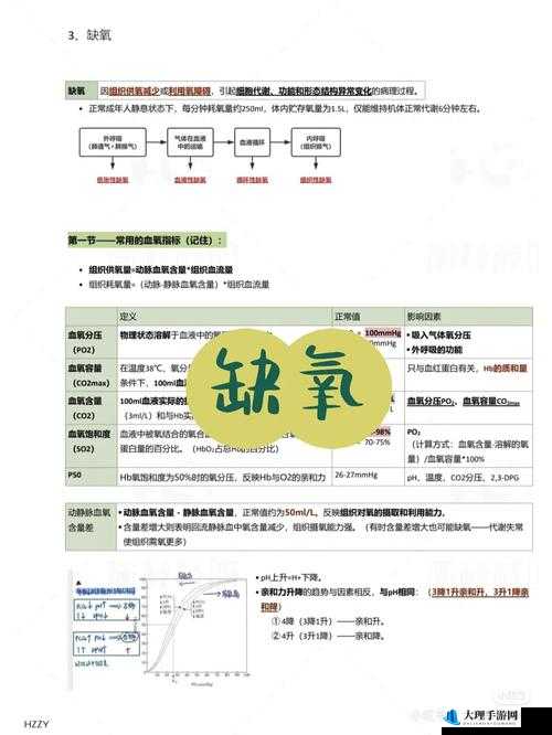 缺氧与二氧化碳高效处理策略探讨